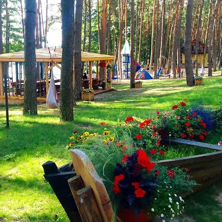 Jelen * Przyjezierze (Szczecinek)