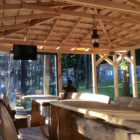 Jelen * Przyjezierze (Szczecinek)