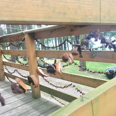 Tatil parkı Jelen *