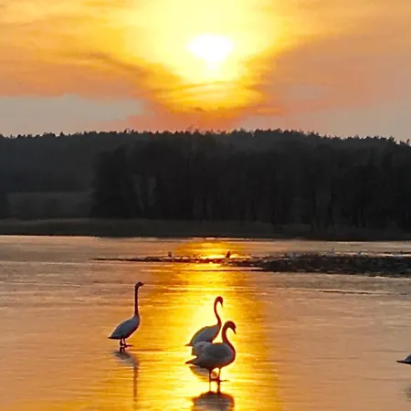 Jelen Tatil parkı Przyjezierze (Szczecinek)
