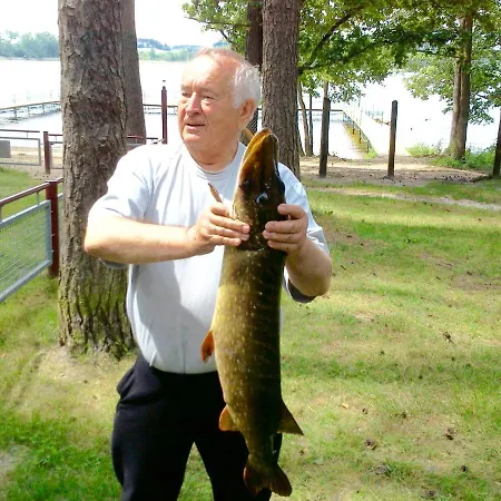 Jeleń Przyjezierze (Szczecinek)