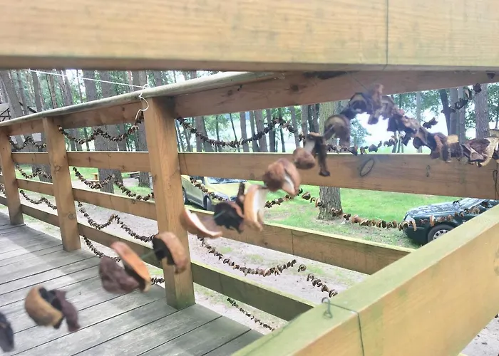 Tatil parkı Jelen *