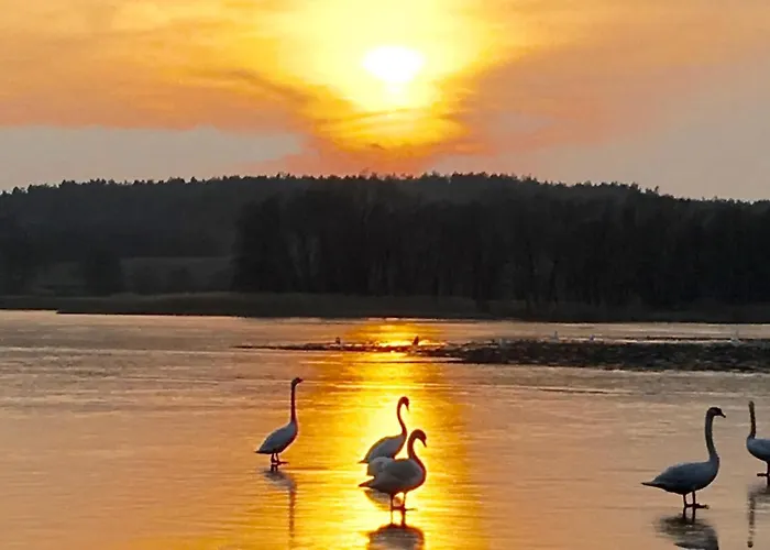 Jelen Tatil parkı Przyjezierze (Szczecinek)