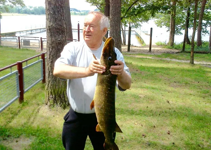 Jelen Przyjezierze (Szczecinek)